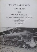 What Happened to Steam by HANDS, Peter